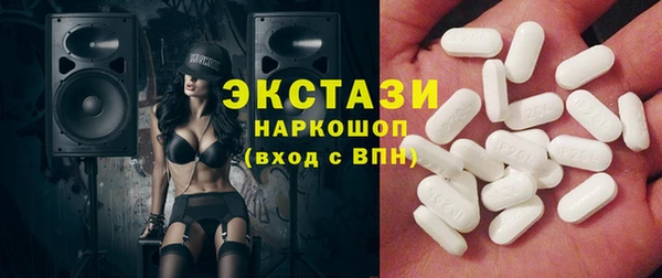 spice Богородицк