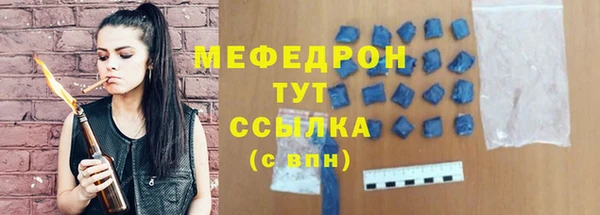 spice Богородицк