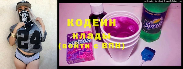 spice Богородицк