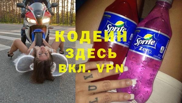 spice Богородицк