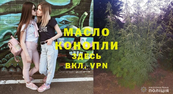 spice Богородицк