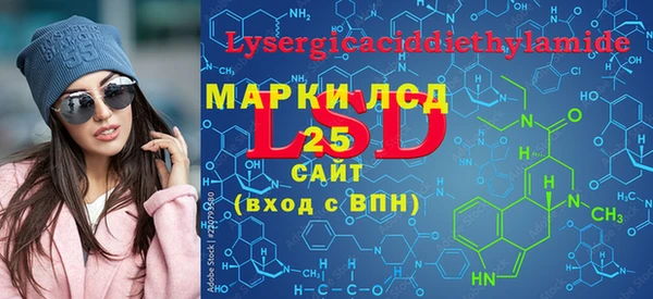 spice Богородицк