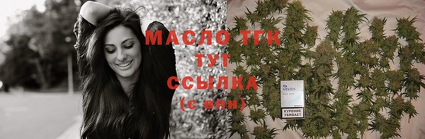 spice Богородицк