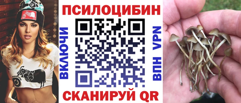 сколько стоит  Кинешма  МЕГА как зайти  Псилоцибиновые грибы Cubensis 